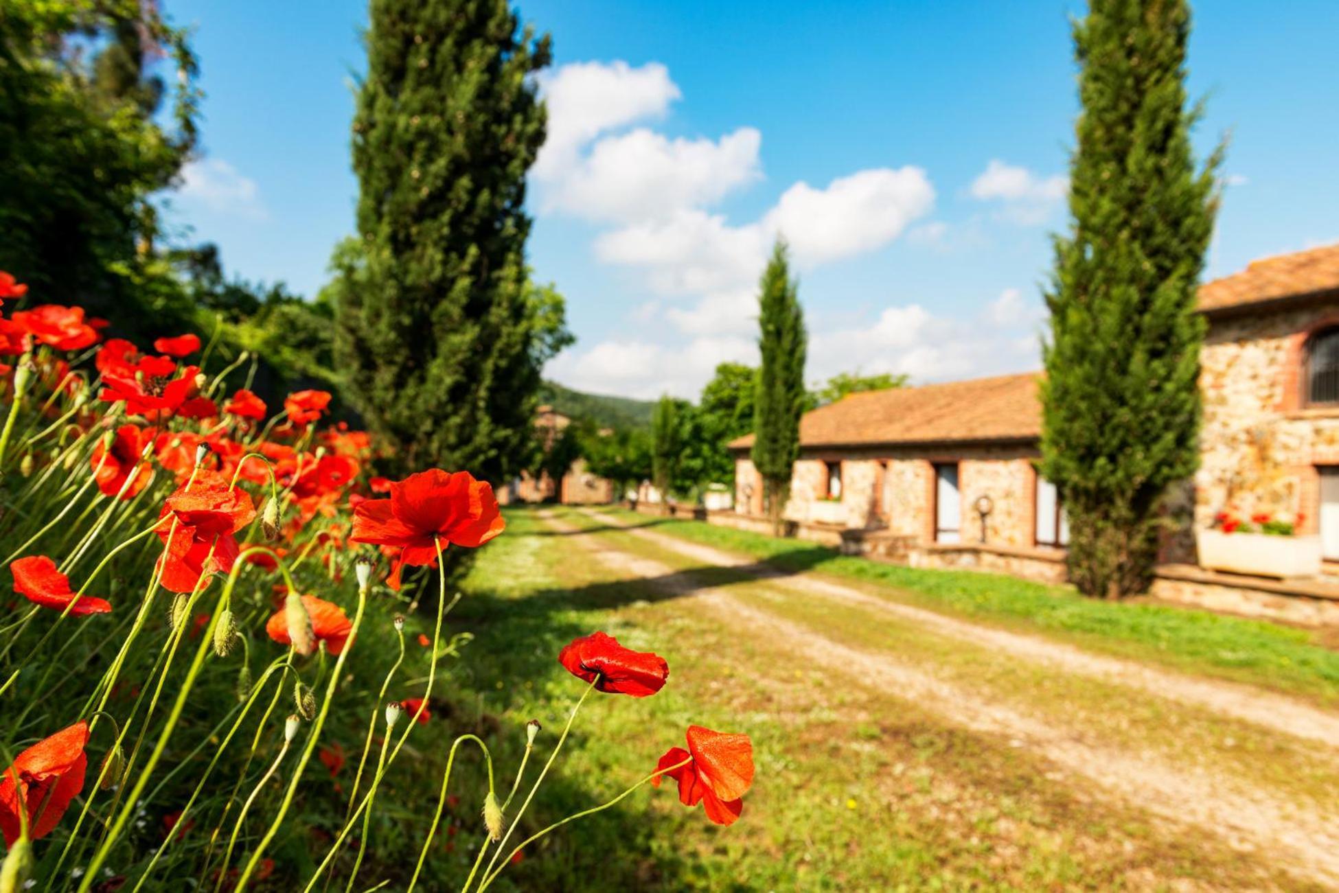 Podere Cascatelle&Agriletizia - Cascate Naturali Apartamento Massa Marittima Exterior foto